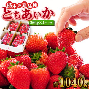 yӂ邳Ɣ[Łzw_xVN!!Ȗ؂̐Vi@wƂx(260g×4pbN)_   t[c ʕ  Ƃ Ȗ Vi lC   Mtg  4pbN y
