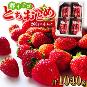 �y�ӂ邳�Ɣ[�Łz�t�C�`�S�w�Ƃ����Ƃ߁x(260g×4�p�b�N)�y�z���s�n��F�����z�y1389986�z