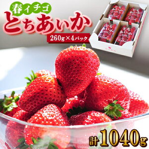 yӂ邳Ɣ[ŁzytC`SzwƂx(260g×4pbN)_   Ƃ t  Ȗ، s t[c ʕ lC  Mtg  ①  yzsn