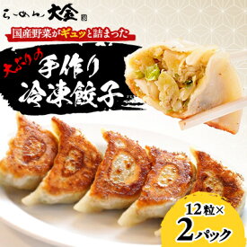 【ふるさと納税】佐野ブランド認証品 らーめん大金の国産野菜がギュッと詰まった大ぶりの手作り冷凍餃子　12粒×2パック【配送不可地域：離島・沖縄県】【1421597】