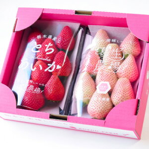 【ふるさと納税】紅白いちご(とちあいか、ミルキーベリー)大粒 詰め合わせ(300g×1パックずつ)【配送不可地域:離島】【1484008】