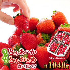 【ふるさと納税】いちご生産量日本一栃木産　春イチゴ『とちおとめ』『とちあいか』 (260g×4パック)食べ比べセット_ いちご 苺 とちおとめ とちあいか セット 食べ比べ 人気 おすすめ 送料無料 贈答 ギフト 栃木 佐野 冷蔵 春いちご 【配送不可地域：離島】【1489767】