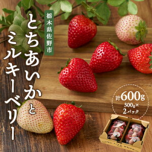 �y�ӂ邳�Ɣ[�Łz�Ȗ؂̔������� �~���L�[�x���[ �Ƃ������� MIX�@300g×2�p�b�N�y�z���s�n��F�����z�y1525933�z