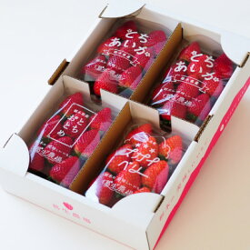 【ふるさと納税】【春イチゴ】「2品種以上組み合わせ!」食べ比べセット(260g×4パック)【配送不可地域：離島】【1589308】