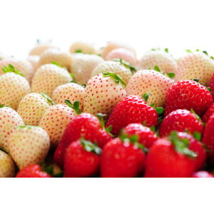 yӂ邳Ɣ[Łzytzg(ƂA~L[x[)lߍ킹(300g×2pbN)yzsnFzy1589317z