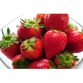 【ふるさと納税】栃木のいちご食べ比べ!「2品種組み合わせ!」セット(260g×2パック)【配送不可地域：離島・沖縄県】【1642095】