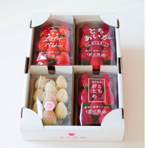 yӂ邳Ɣ[ŁzytC`SzȖ؂4lߍ킹Zbg(260g×4pbN)yzsnFzy1663311z