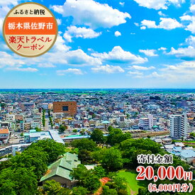 【ふるさと納税】栃木県佐野市の対象施設で使える楽天トラベルクーポン寄付額20,000円