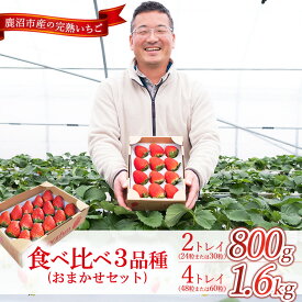 【ふるさと納税】【選べる容量】【先行予約/数量限定】【贅沢いちごセット】完熟いちご食べ比べ3品種 ｜ 栃木県 鹿沼市 産地直送 旬 いちご こだわり 高級品 贈答用 イチゴ 苺 果物 フルーツ 期間限定 　※2025年12月中旬～2026年2月中旬頃に順次発送予定