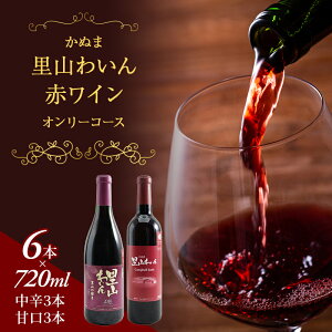 yӂ邳Ɣ[Łzʂ R킢 ԃC I[R[X 720ml × 6{ ͂ mF 14`1  @͂FmF14`1