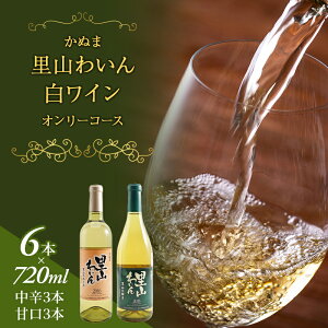 yӂ邳Ɣ[Łzʂ R킢 C I[R[X 720ml × 6{ ͂ mF 14`1  @͂FmF14`1