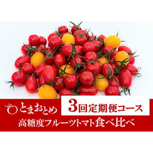 yӂ邳Ɣ[Łzy  3 z Ȗ، Y x t[cg}g hƂ܂Ƃ߁h Hה 1kg×3 b g}g JLk}t@[ ACR teBJ A CG[ACR s 20