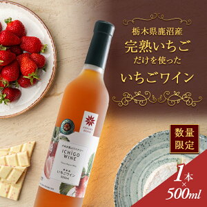 yӂ邳Ɣ[ŁzyʌzȖ، Y nC`Sg C 500ml ͂ mF 14`1 