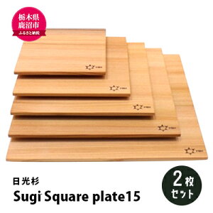 yӂ邳Ɣ[Łzyn؍HElEzSugi Square plate15 2Zbg H|i  ؍H v[g Ԕ