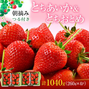 yӂ邳Ɣ[ŁzyIׂ锭z×Ƃ߃n[tn[t 4pbN  ʕ t[c  C`S  Ƃ ƂƂ  VN  Â