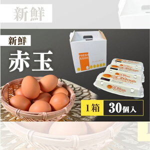 yӂ邳Ɣ[ŁzAX^LT`܂ 10×3pbN  { AX^LT` R_p[ X i H lC  b ͂ VN