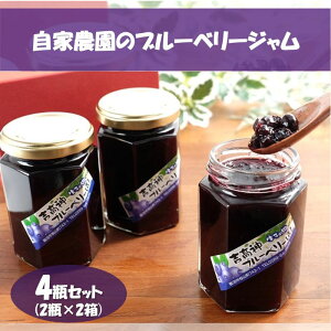 �y�ӂ邳�Ɣ[�Łz���Ɣ_���̃u���[�x���[�W����4�r�Z�b�g�i2�r×2���j���H�i �t���[�c�W���� ���z �߂��� ���� ���� �E�ݎ�� �O���j���[�� �������` ���R �ʎ� ��������