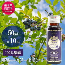 【ふるさと納税】無添加 砂糖不使用 のぎゅぎゅっと 100％ 濃縮 ブルーベリードリンク 2箱 （50ml×10本） 果汁飲料 野菜飲料 ブルーベリージュース 美味しい 濃縮し 高糖度 添加物 安全 安心 アントシアニン 手軽 飲み物