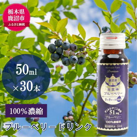 【ふるさと納税】無添加 砂糖不使用 のぎゅぎゅっと 100％ 濃縮 ブルーベリードリンク 6箱 （50ml×30本） 果汁飲料 野菜飲料 ブルーベリージュース 美味しい 濃縮し 高糖度 添加物 安全 安心 アントシアニン 手軽 飲み物