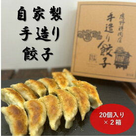 【ふるさと納税】自家製 手造り 餃子 20個入り 2箱 ギョウザ ※沖縄・離島への配送不可