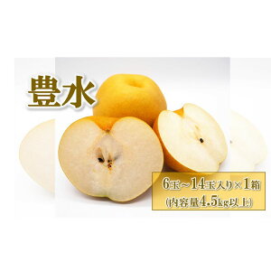 yӂ邳Ɣ[Łz(L) 6ʁ`14ʓ×1 (4.5kgȏ) 2025N8{`9{ɏ\