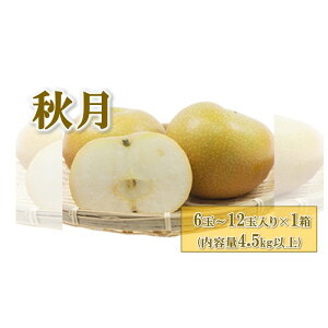 yӂ邳Ɣ[Łzys\z(H) 6ʁ`12ʓ×1 (4.5kgȏ) 2025N9{`9{ɏ\