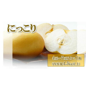 yӂ邳Ɣ[Łzys\z(ɂ) 4ʁ`7ʓ×1 (4.5kgȏ) 2025N10{`11{ɏ\
