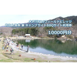 yӂ邳Ɣ[Łz到F&CtB[hrbW ނ  LvTCgBBQTCgp 10000~ `Pbg  ނ tBbVO A[ tC AEghA Lv o[xL[ 