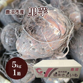 【ふるさと納税】鹿沼市産 里芋 5kg 約50個入り 1箱 ｜ さといも 野菜 うまい しっとり ねっとり やわらか 食感 煮くずれしにい 鹿沼市 かぬま ※沖縄・離島への配送不可 ※2025年12月上旬～12月下旬頃に順次発送予定