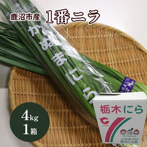 yӂ邳Ɣ[Łzys\zsY ɂ 1ԃj 4kg 1 b ɂ j  ܂ Â _炩 s ʂ Eւ̔zs 2026N1{`2{ɏ\