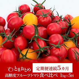 【ふるさと納税】【定期便 連続5カ月 計5回】 栃木県 鹿沼産 高糖度 フルーツトマト ”とまおとめ” 食べ比べ 1kg×5回 ｜ 野菜 トマト カキヌマファーム アイコ フルティカ アルル イエローアイコ 濃厚 甘み 旨み 入手困難 ※2026年1月中旬～5月下旬頃に順次発送予定