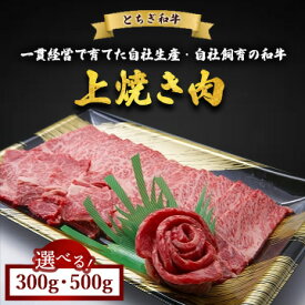 【ふるさと納税】【選べる容量】とちぎ和牛 上焼き肉用