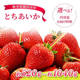 【ふるさと納税】【先行予約】【選べる品種・内容量・発送時期】とちあいか 2パック / 4パック | いちご 果物 フルーツ デザート スイーツ 苺 イチゴ くだもの 朝取り 新鮮 美味しい 甘い 先行受付