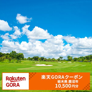 �y�ӂ邳�Ɣ[�Łz�Ȗ،� �����s�̑ΏۃS���t��Ŏg���� �y�VGORA�N�[�|�� ��t�z35,000�~ (�N�[�|��10,500�~)