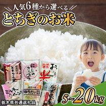 楽天市場】ふるさと納税 米 10000円 20kgの通販