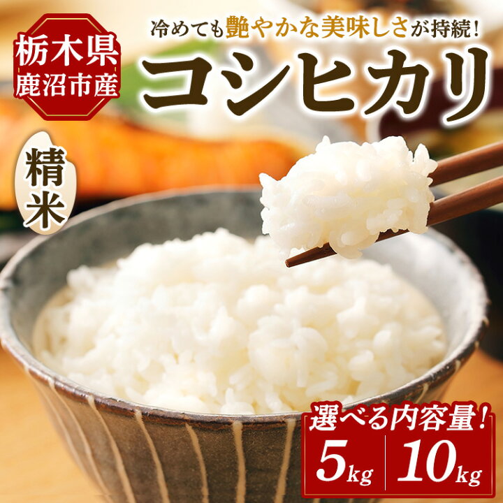 楽天市場】【ふるさと納税】【選べる内容量】令和7年度産 コシヒカリ 