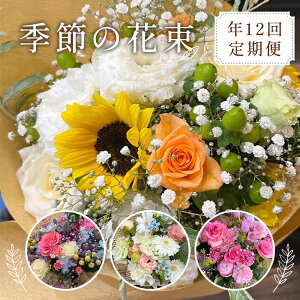 yӂ邳Ɣ[Łzy12ցz͂G߂̉ԑ