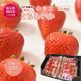 【ふるさと納税】【先行予約】いちご市 鹿沼の美味しい「い」「ち」「ご」とちあいか 15粒入り320g 2パック（2月発送） ｜ イチゴ 苺 フルーツ 果物 甘い うまい 日本一 品質 ビタミンC 果実 かぬま ※沖縄・離島への配送不可 ※2026年2月上旬～2月下旬頃に順次発送予定
