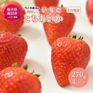 yӂ邳Ɣ[Łzys\zs ̔uvuvuvƂ 14pbNi1pbN270g×4ji1j b C`S t[c ʕ Â ܂ { i r^~