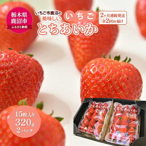 yӂ邳Ɣ[Łzys\zyցzs ̔uvuvuv Ƃ 15320g 2pbN 2A S2 ͂ b C`S  t[c ʕ Â p 