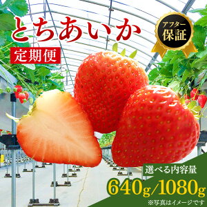 �y�ӂ邳�Ɣ[�Łz�y��s�\��z�y�I�ׂ���e�ʁz�y2��������ցz�������s �����̔��������u���v�u���v�u���v �Ƃ������� 320g×2�p�b�N/270g×4�p�b�N �b �C�`�S � �t���[�c �ʕ� �����p �S2�� 