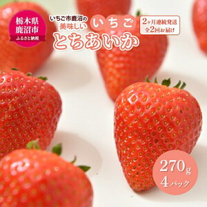 yӂ邳Ɣ[Łzys\zyցzs ̔uvuvuvƂ 14pbNi1pbN270g×4j 2A S2 ͂ b C`S ʕ Â r^~