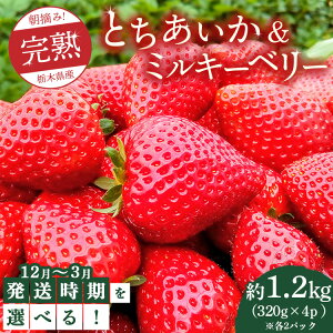 yӂ邳Ɣ[Łzys\zyIׂ锭zE݁InƂ~L[x[̍gZbg 1280gi320g×4p(e2pbN) j@ւ̔zs