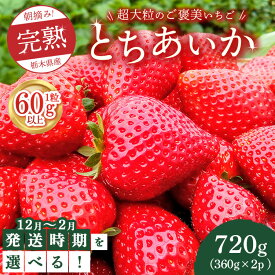 【ふるさと納税】【先行予約】【選べる発送月】1粒60g以上！超大粒の《ご褒美いちご》朝摘み完熟とちあいか　720g（360g×2p）　※離島への配送不可