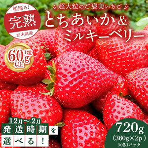 yӂ邳Ɣ[Łzys\zyIׂ锭z160gȏI嗱́sJtE݊nƂ~L[x[gZbg 720g(360g×e1p)@ւ̔zs