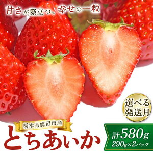 �y�ӂ邳�Ɣ[�Łz�y�I�ׂ锭�����z�����s�Y �Ƃ��������i290g×2�p�b�N�j 1������/2������/3������/4������ �b ������ �C�`�S � �Ȗ،� �ʕ� �������� �t���[�c �Ƃ������� �V�N ���� �M�t�g 