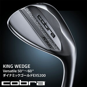 yӂ邳Ɣ[ŁzyIׂ^CvzRu KING WEDGE Versatile@50°`60° _Ci~bNS[hEXS200 b StNu EFbW@2025N7{菇\