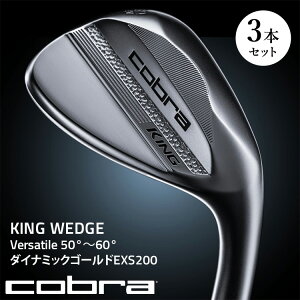 yӂ邳Ɣ[ŁzyIׂZbgezRu KING WEDGE 3{Zbg Versatile@50°`60° _Ci~bNS[hEXS200 b StNu EFbW@2025N7{菇\