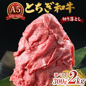 yӂ邳Ɣ[Łz_Iׂeʁ^Ƃa A5 ؂藎Ƃ 300g`2kgyȖ،ʕԗiEȖ،Yz |   a Y ؂藎Ƃ Ȗ، s