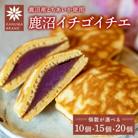 【ふるさと納税】【選べる内容量】鹿沼イチゴイチエ